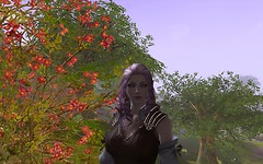Aion3