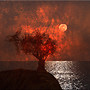 Burning Under the Moonlight