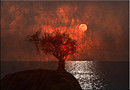 Burning Under the Moonlight