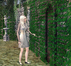 The Secret Garden