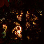 red glow