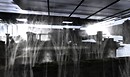 Overgrown by Light 5