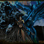 The witch tree