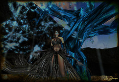 The witch tree