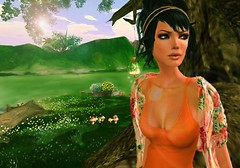 The Garden