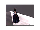 Dark Snow White