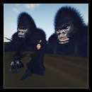 Mongo sisters go around the world 09