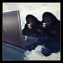 Mongo sisters go around the world 01