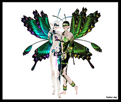 Regal Wings