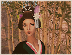 Miko 0909 2