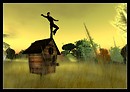 on the bird box