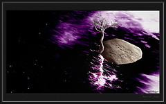 sssImagine Plus_063s