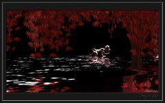 sssImagine Plus_062s