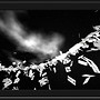 sssImagine Plus_058s