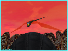 ~~ Chauve souris ~~
