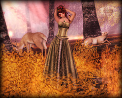 Autumn