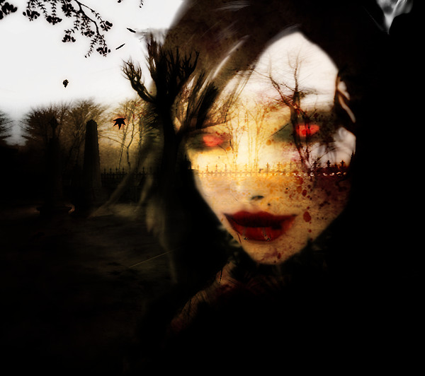 Vampire Dreams 