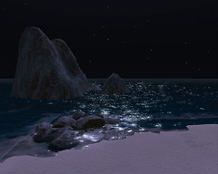 Tropical Paradise 6