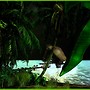 ♫...On dirait le sud...Le temps dure longtemps...Et la vie sûrement!