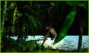 ♫...On dirait le sud...Le temps dure longtemps...Et la vie sûrement!