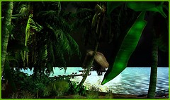 ♫...On dirait le sud...Le temps dure longtemps...Et la vie sûrement!