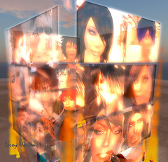 Faces of Evolution at Burning Life 09
