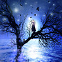 Crow Moon