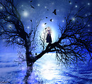 Crow Moon