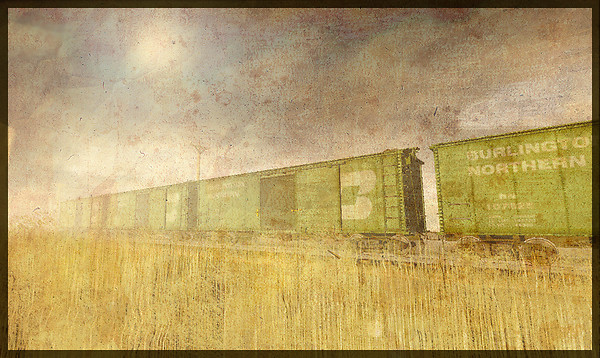 prairie cargo