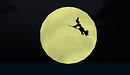 Halloween is coming soon !