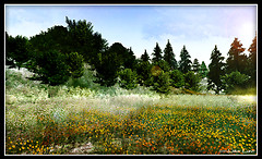 Landscape at Feast