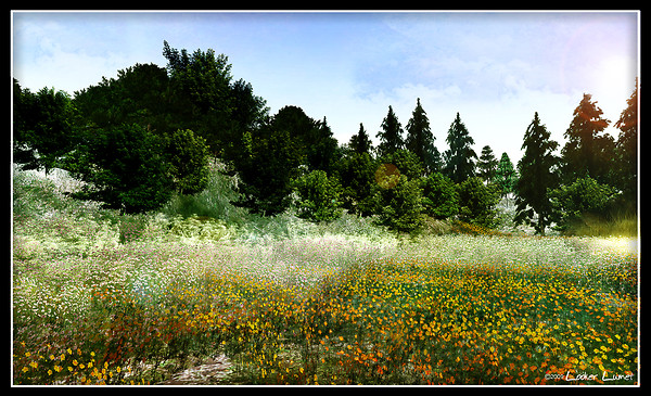 Landscape at Feast