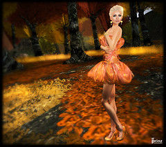 Musique - Autumn Colors