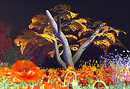 Snapshot_013 (265)