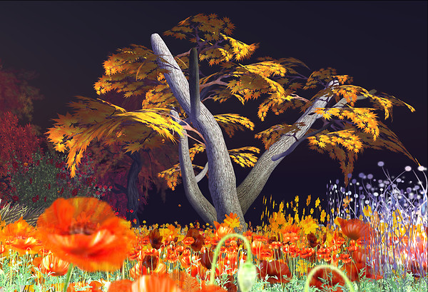 Snapshot_013 (265)