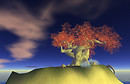 Snapshot_013 (266)