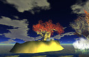 Snapshot_017