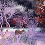 Snapshot_373