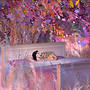 Snapshot_483