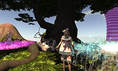 Cheshire