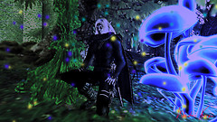 Florest Mystic