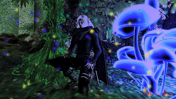 Florest Mystic