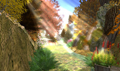 AUTUM IN AFAN