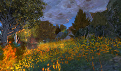 AUTUM IN AFAN