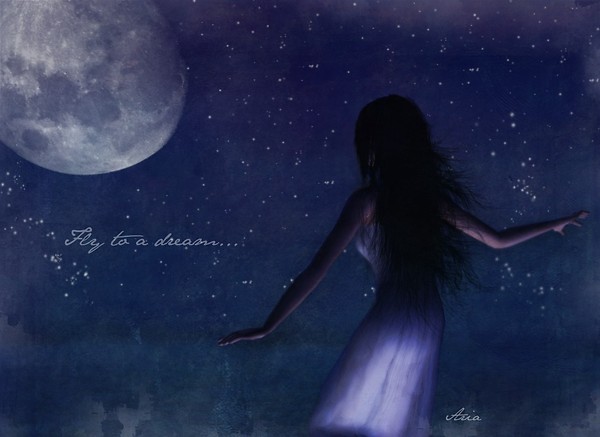 Fly to a dream