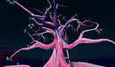 Magoo Fig Tree