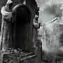 dracula 9