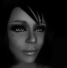 Snapshot_240bw