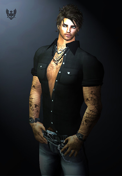 splendeurs silver shirt