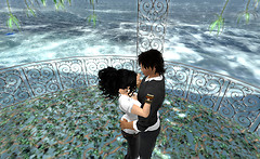 Snapshot_023